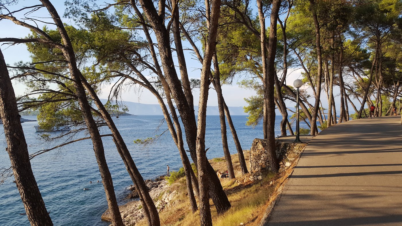 Ocean and pine trees on the Dalmatian coast